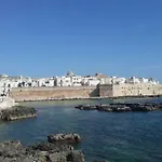 Tropical Palm Monopoli