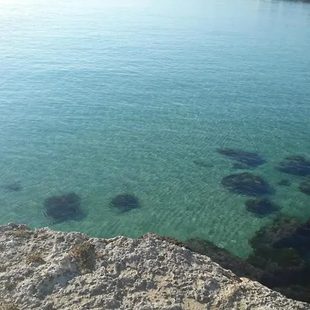 Tropical Palm * Monopoli