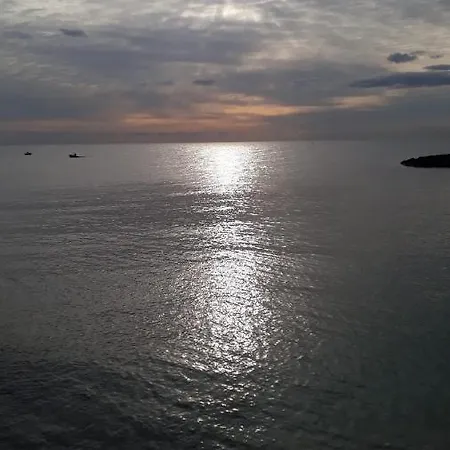 Tropical Palm Monopoli