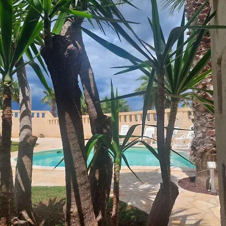 Tropical Palm
