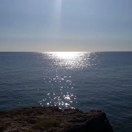 Tropical Palm Monopoli