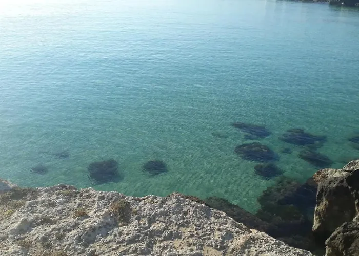 Tropical Palm * Monopoli